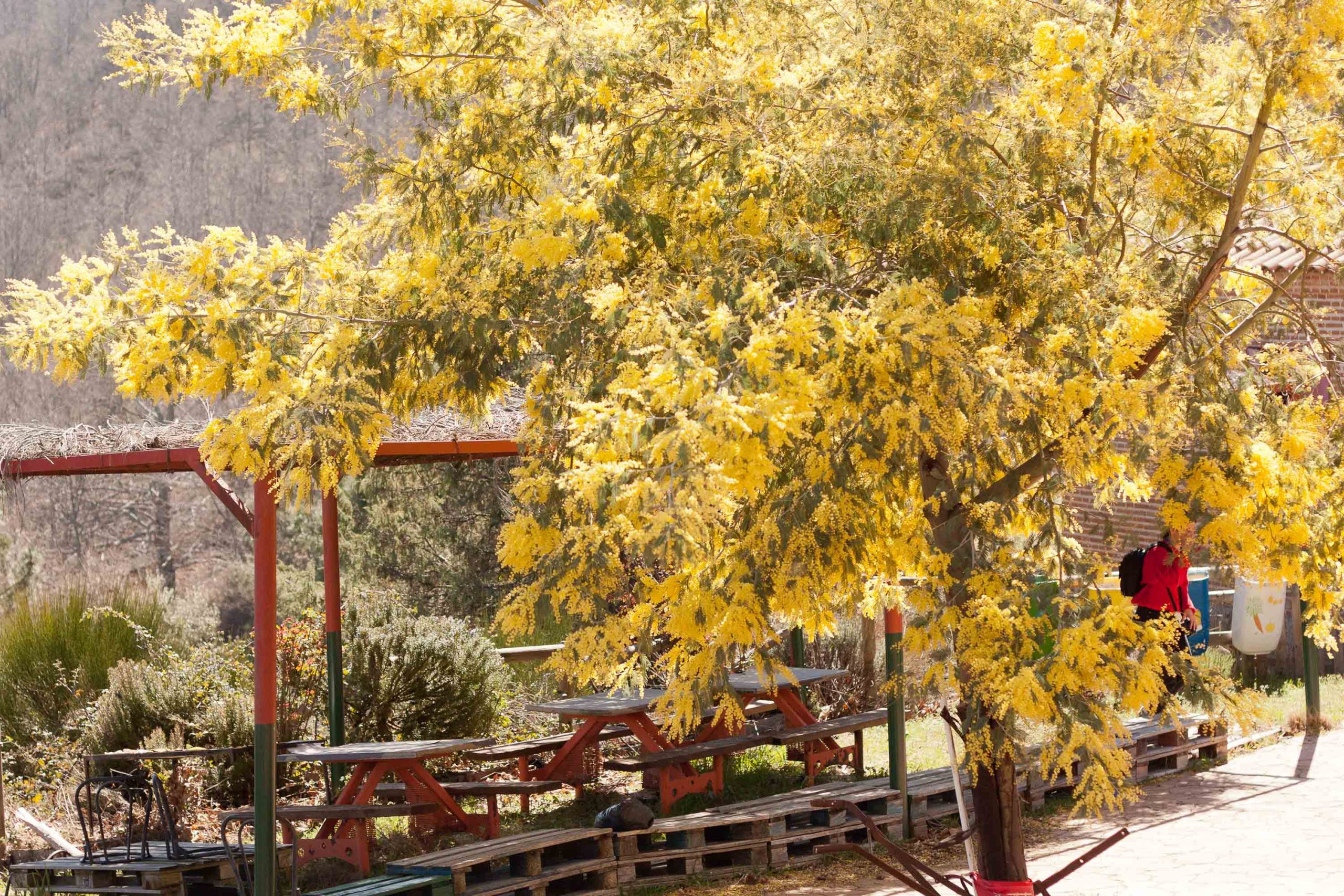 foto merendero albergue