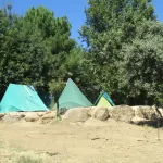acampada scout