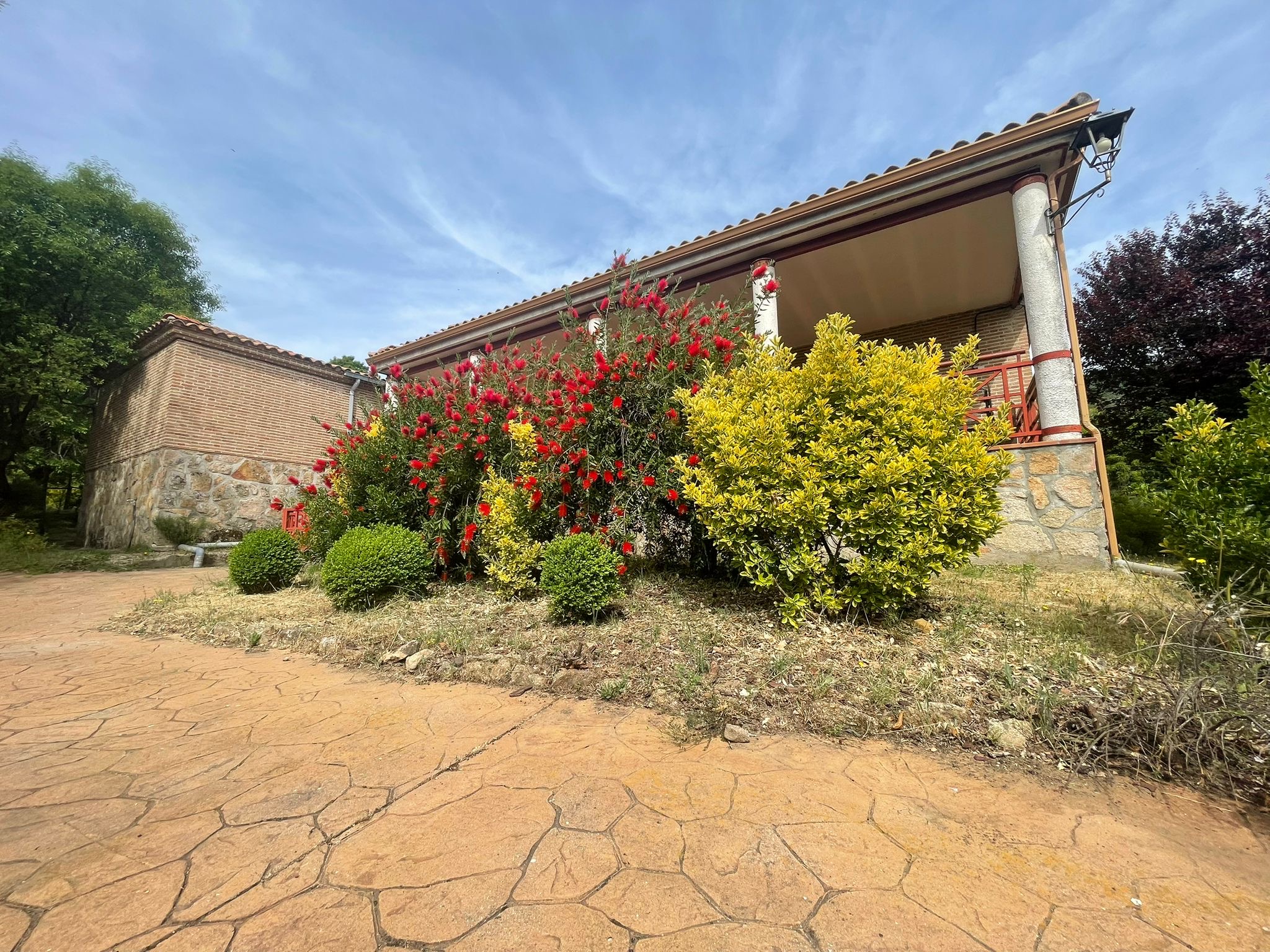 foto albergue limpiapipas